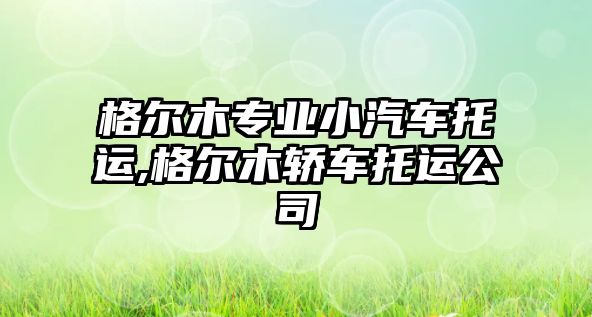 格爾木專業(yè)小汽車托運(yùn),格爾木轎車托運(yùn)公司