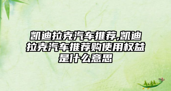 凱迪拉克汽車推薦,凱迪拉克汽車推薦購(gòu)使用權(quán)益是什么意思