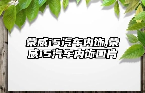 榮威i5汽車內(nèi)飾,榮威i5汽車內(nèi)飾圖片