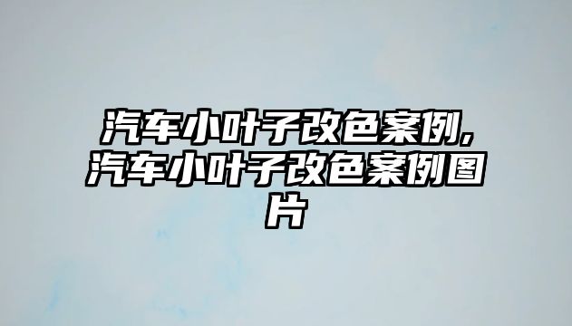 汽車(chē)小葉子改色案例,汽車(chē)小葉子改色案例圖片