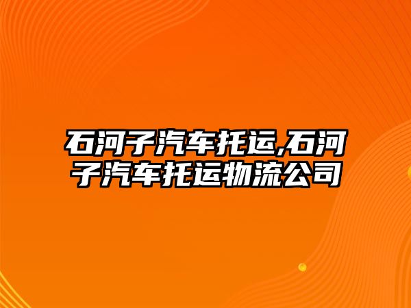 石河子汽車托運(yùn),石河子汽車托運(yùn)物流公司