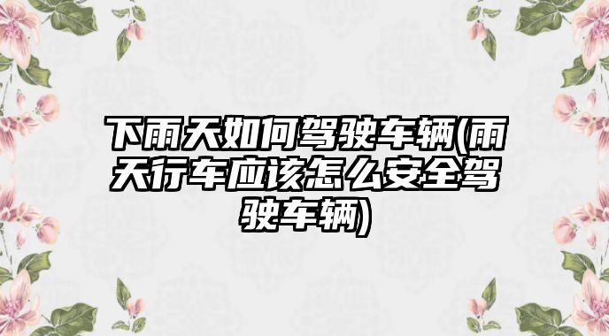 下雨天如何駕駛車輛(雨天行車應(yīng)該怎么安全駕駛車輛)