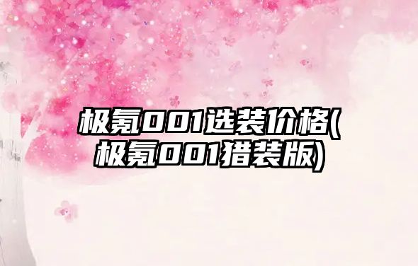 極氪001選裝價格(極氪001獵裝版)