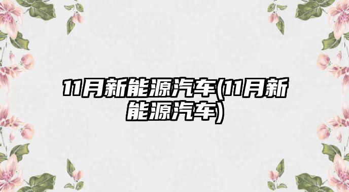 11月新能源汽車(11月新能源汽車)