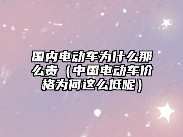 國內(nèi)電動車為什么那么貴（中國電動車價(jià)格為何這么低呢）