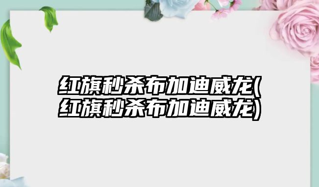 紅旗秒殺布加迪威龍(紅旗秒殺布加迪威龍)