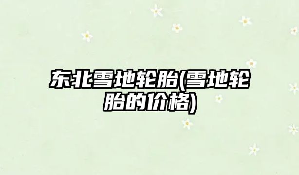 東北雪地輪胎(雪地輪胎的價格)