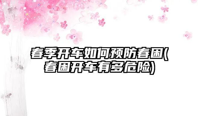 春季開車如何預(yù)防春困(春困開車有多危險(xiǎn))