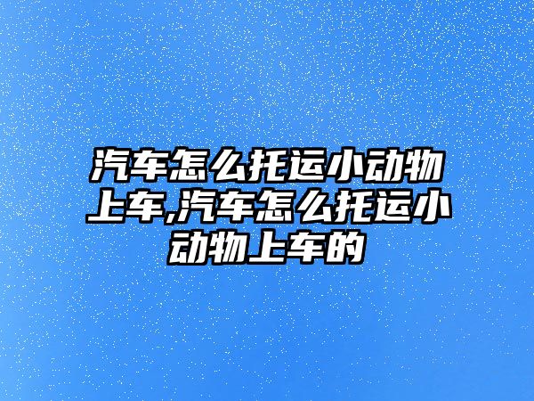 汽車怎么托運小動物上車,汽車怎么托運小動物上車的