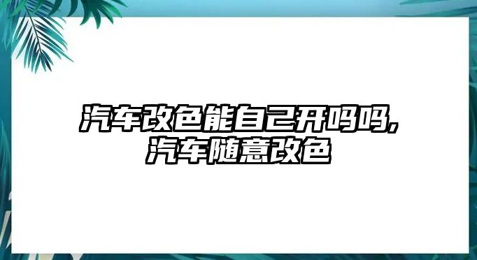 汽車改色能自己開嗎嗎,汽車隨意改色