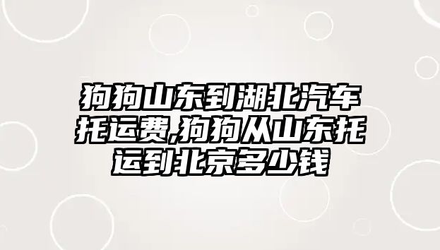 狗狗山東到湖北汽車托運費,狗狗從山東托運到北京多少錢