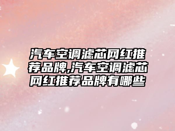 汽車空調(diào)濾芯網(wǎng)紅推薦品牌,汽車空調(diào)濾芯網(wǎng)紅推薦品牌有哪些
