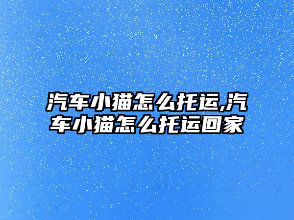 汽車小貓?jiān)趺赐羞\(yùn),汽車小貓?jiān)趺赐羞\(yùn)回家