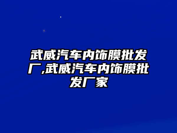 武威汽車內(nèi)飾膜批發(fā)廠,武威汽車內(nèi)飾膜批發(fā)廠家