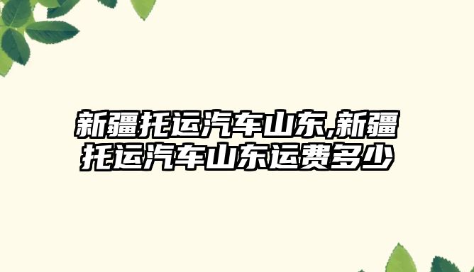 新疆托運(yùn)汽車山東,新疆托運(yùn)汽車山東運(yùn)費(fèi)多少