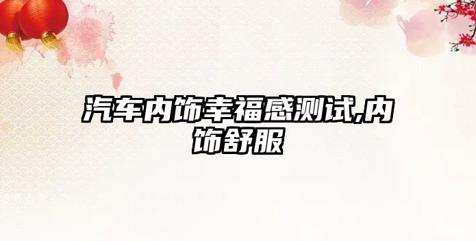 汽車內(nèi)飾幸福感測試,內(nèi)飾舒服