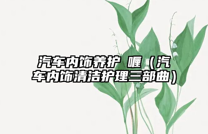 汽車內(nèi)飾養(yǎng)護(hù)啫喱（汽車內(nèi)飾清潔護(hù)理三部曲）