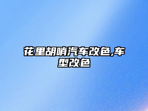 花里胡哨汽車(chē)改色,車(chē)型改色
