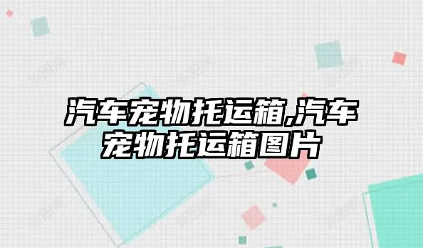 汽車寵物托運(yùn)箱,汽車寵物托運(yùn)箱圖片