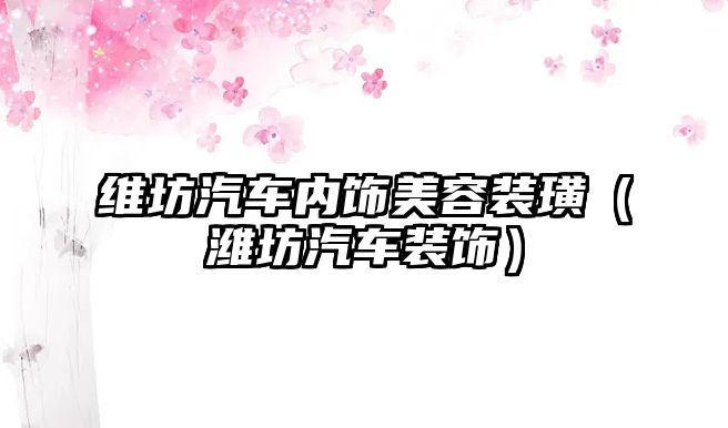 維坊汽車內(nèi)飾美容裝璜（濰坊汽車裝飾）