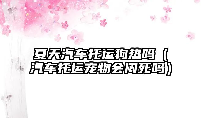 夏天汽車托運(yùn)狗熱嗎（汽車托運(yùn)寵物會悶死嗎）