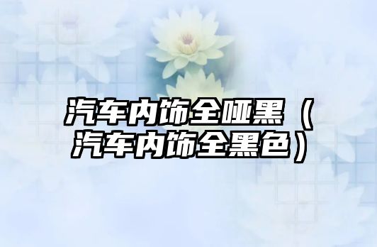 汽車(chē)內(nèi)飾全啞黑（汽車(chē)內(nèi)飾全黑色）